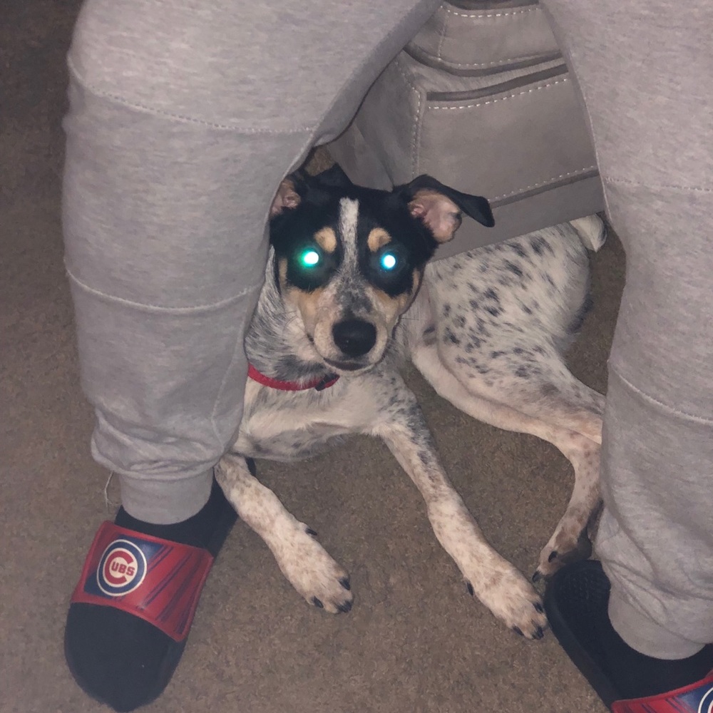 Meet your Posher, Barbara